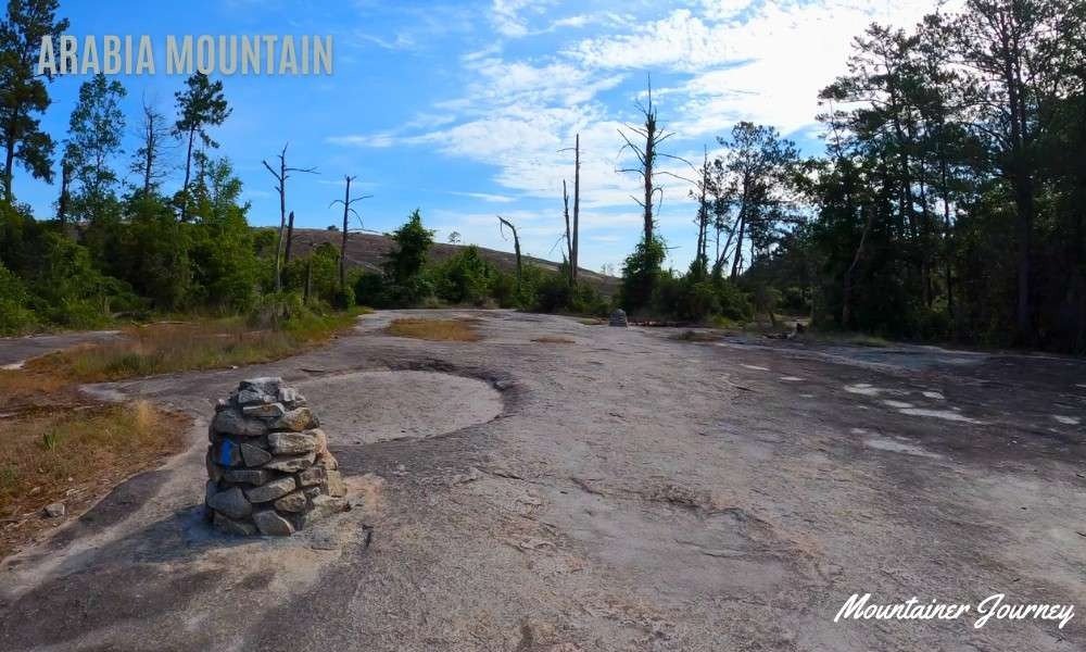 Exposed granite landscape on Arabia Mountain Top Trail in Georgia