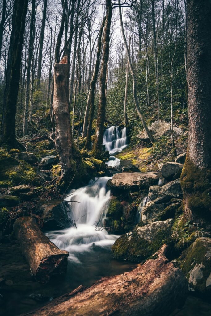 Waterfall flowing through lush forest in Tennessee
