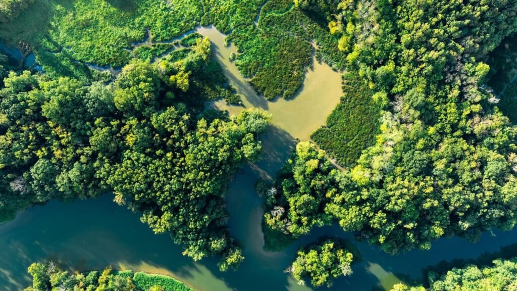 Aerial view of a winding river through lush green forest near Chattanooga, Tennessee