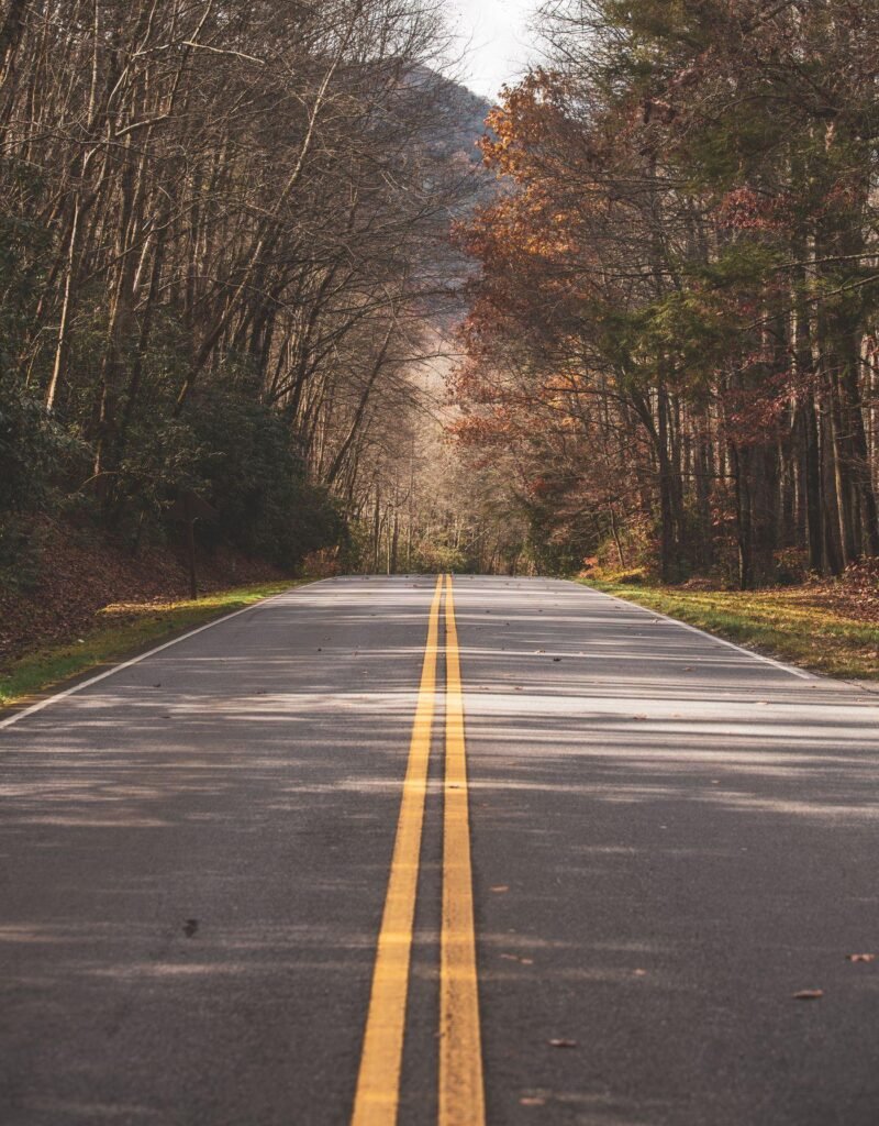 A quiet road lined with autumn trees in Blue Ridge, Georgia