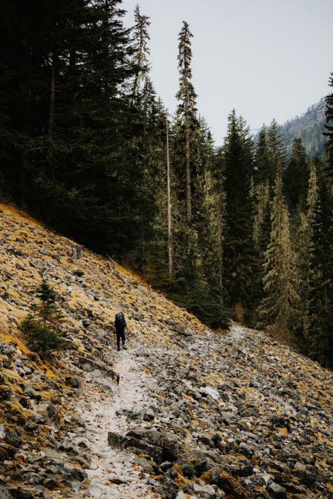 A hiker on a rocky forest trail