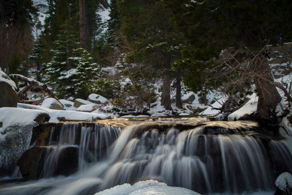 A waterfall surrounded by snowy trees in a winter forest