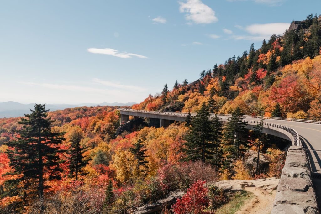Blue Ridge Parkway road curving past hillsides of red, orange and yellow fall foliage