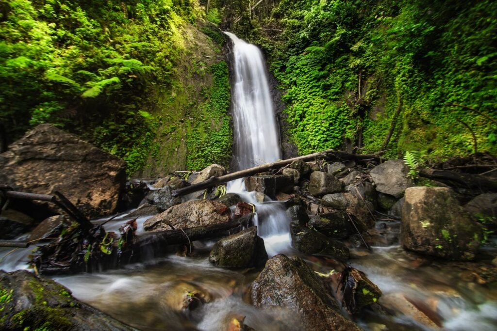 Waterfall cascading through a lush green North Carolina forest.